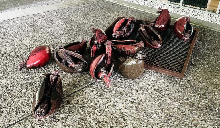 Foto: Kunstwerke in Galerieraum