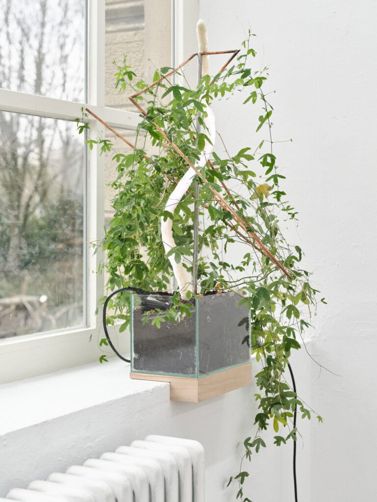 Foto: Nahaufnahme eines Objektes auf einer Fensterbank.