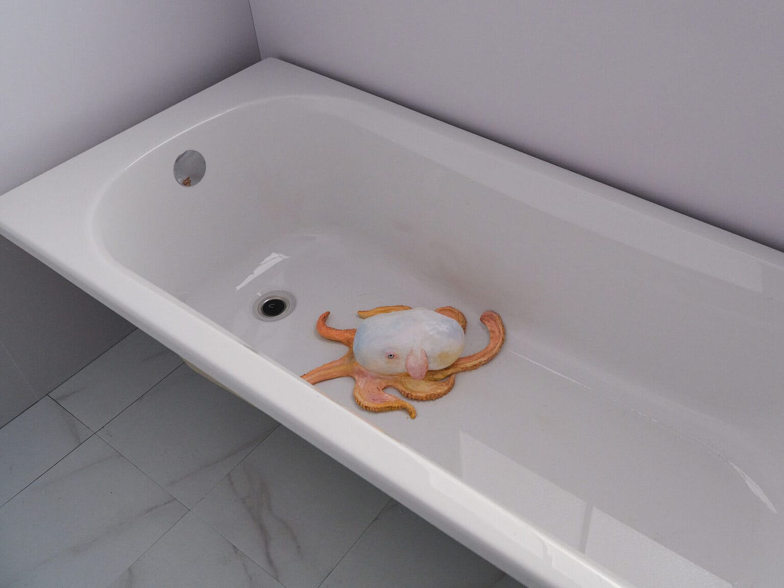 Foto: Nahaufnahme einer Badewanne, in der ein Objekt liegt.