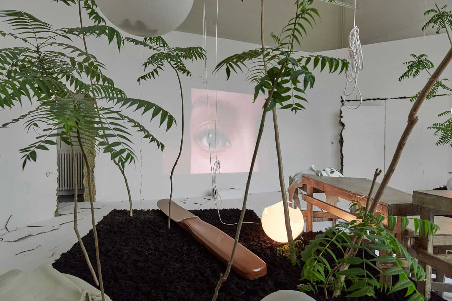 Foto: Ein Raum mit weißen Wänden und rahmenlosem Durchbruch in der Größe einer Tür. Die Wand um die Türöffnung ist rissig. Im Raum befindet sich eine Konstruktion auf verschiedenen Materialien, darunter Schüre, Lampen und Pflanzen in Erde. An die Wand wird eine Projektion geworfen. Der Boden des Raumes ist mit verschieden großen, hellen Platten bedeckt, die zum Teil übereinander liegen und eine unebene, rissige Oberfläche erzeugen.