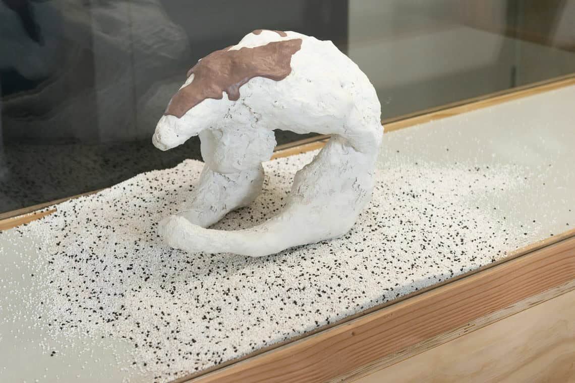 Foto: Detailaufnahme eines Objektes in einer schmalen Vitrine. Das Objekt steht auf einem körnigen Material.