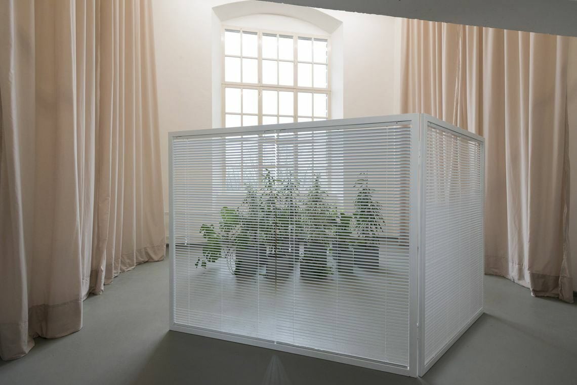 Foto: Ein Raum mit weißen Wänden, grauem Boden und einem großen Fenster. Teile der Wände sind mit beigen, wandhohen Vorhängen verhangen, die Falten werfen. Im Raum befindet sich eine Konstruktion auf Lamellen-Vorhängen. Hinter dieser Konstruktion stehen Pflanzen, die schemenhaft zu erkennen sind.